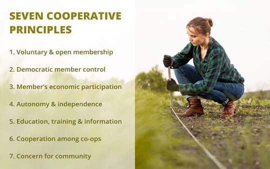 Role of Cooperatives in Agriculture