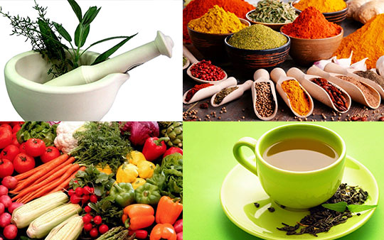 Horticulture, Tea, Spices and Medicinal Plants